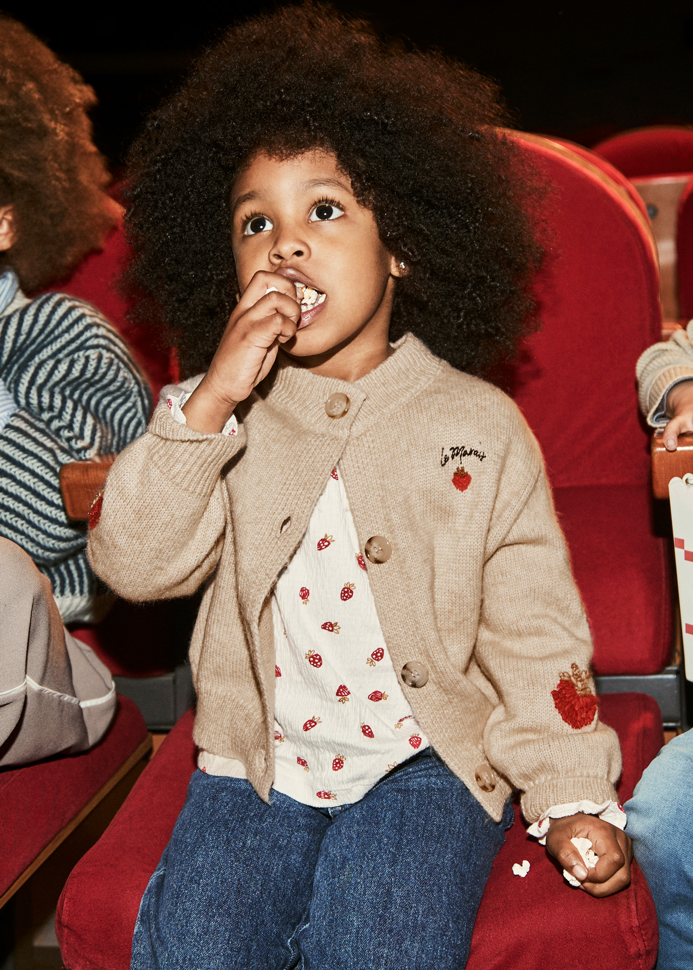 Rebeca tricot fantasia