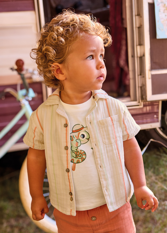 Camisa m/l vestir pajarita