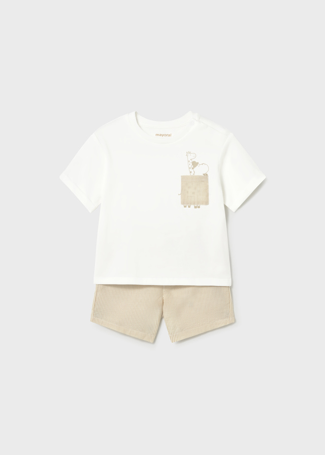 Conj. bermuda seersucker