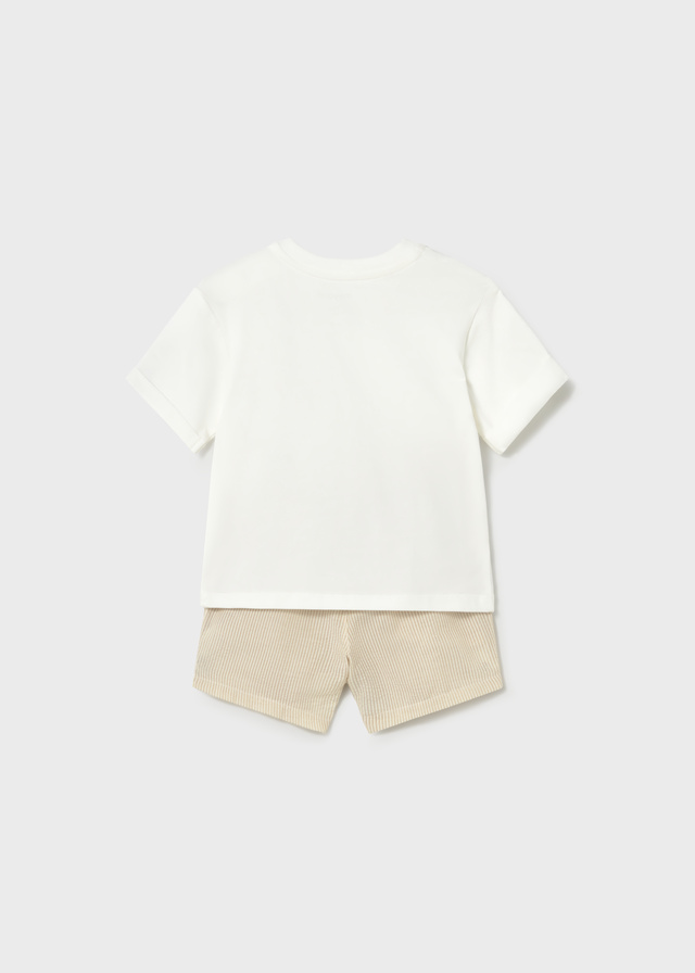 Conj. bermuda seersucker