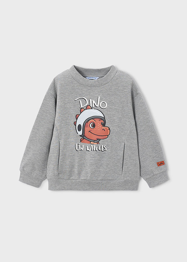 Pullover print